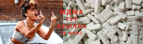 ГАЛЛЮЦИНОГЕННЫЕ ГРИБЫ Аркадак
