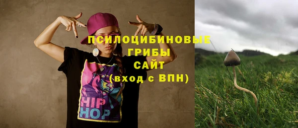 ГАЛЛЮЦИНОГЕННЫЕ ГРИБЫ Аркадак