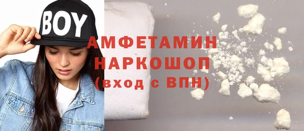 ГАЛЛЮЦИНОГЕННЫЕ ГРИБЫ Аркадак