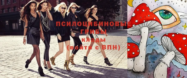 ГАЛЛЮЦИНОГЕННЫЕ ГРИБЫ Аркадак