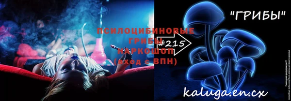 ГАЛЛЮЦИНОГЕННЫЕ ГРИБЫ Аркадак