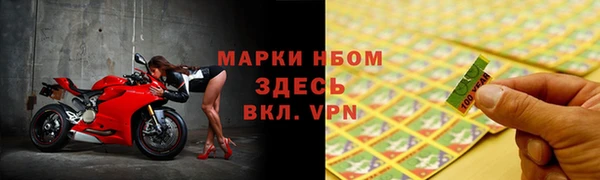 ГАЛЛЮЦИНОГЕННЫЕ ГРИБЫ Аркадак