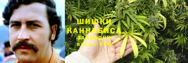 ГАЛЛЮЦИНОГЕННЫЕ ГРИБЫ Аркадак