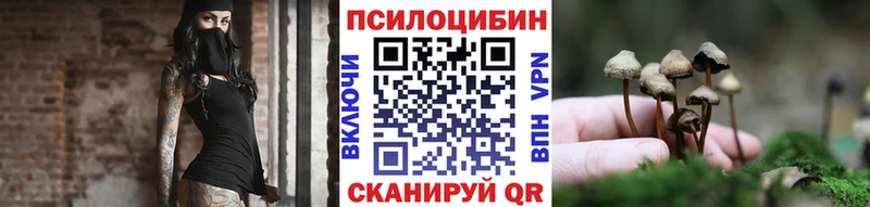 хочу   Минеральные Воды  Псилоцибиновые грибы мицелий 